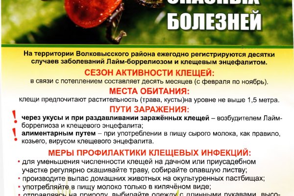 Клещ-переносчик опасных болезней
