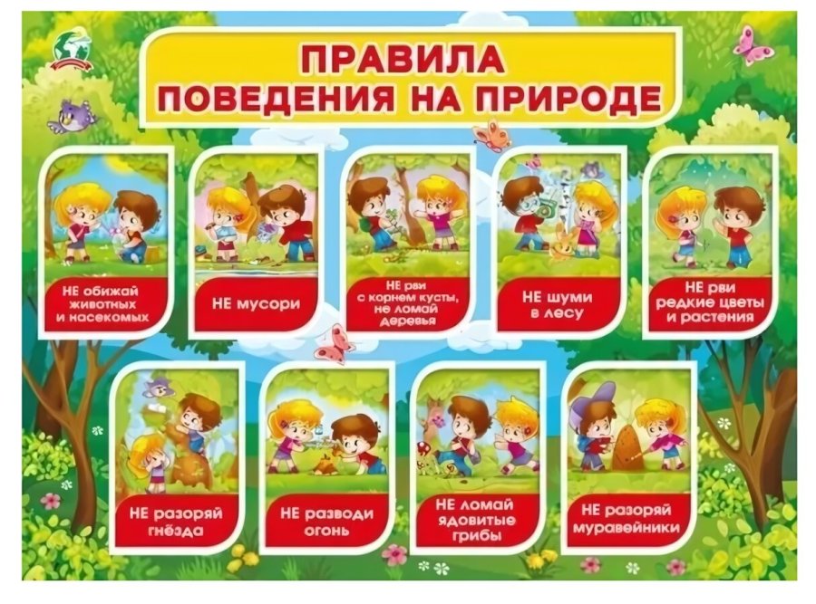 Правила поведения на природе!